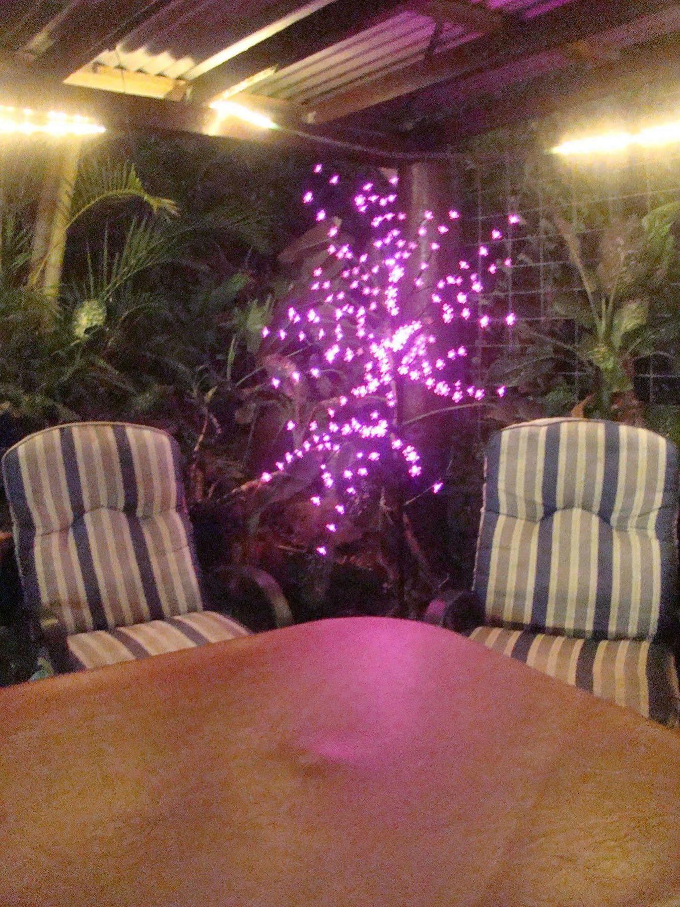 تاونسفيل Orchid Guest House المظهر الخارجي الصورة